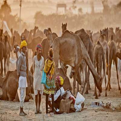 Pushkar Fair Package Tour
